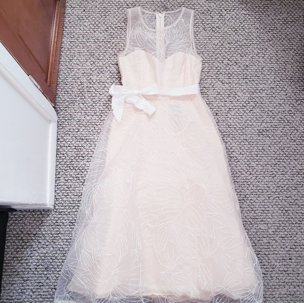 BCBG Embroidered Illusion Dress - Picture 1 of 8